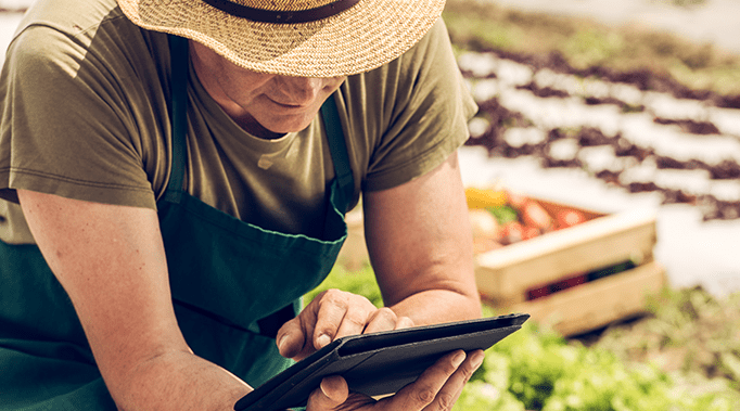 man on tablet in garden